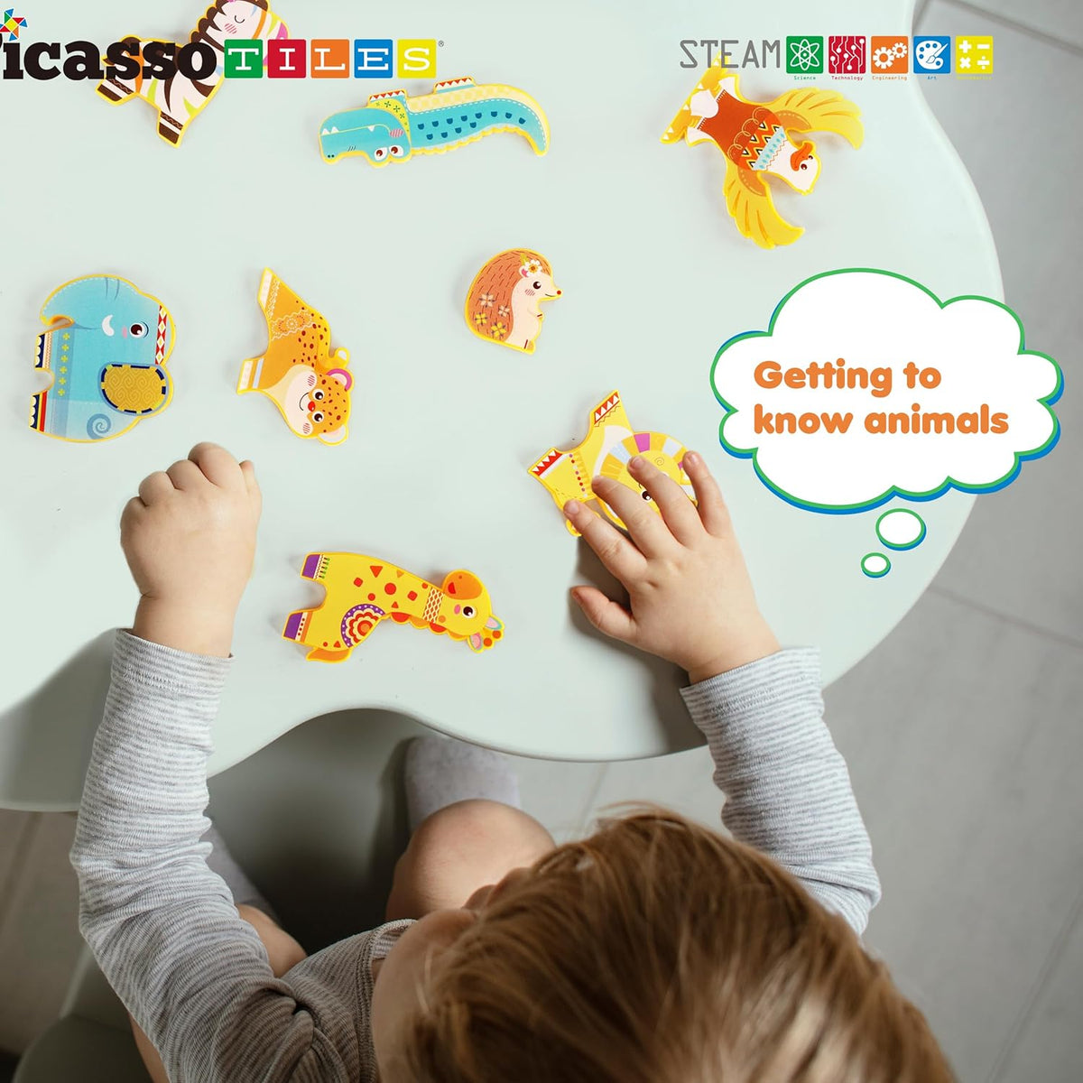 Picasso Magnetic Blocks Safari Animals 8-Piece