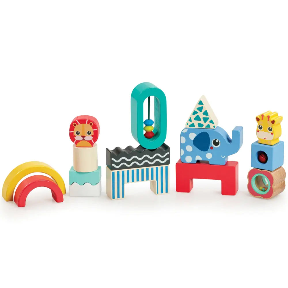 Early Learning Centre Wooden Activity Play Blocks