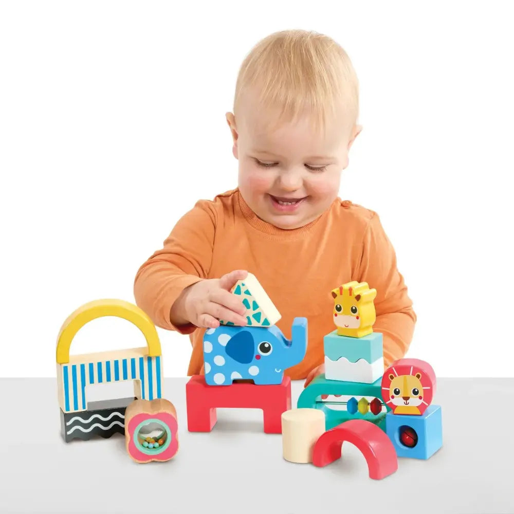 Early Learning Centre Wooden Activity Play Blocks