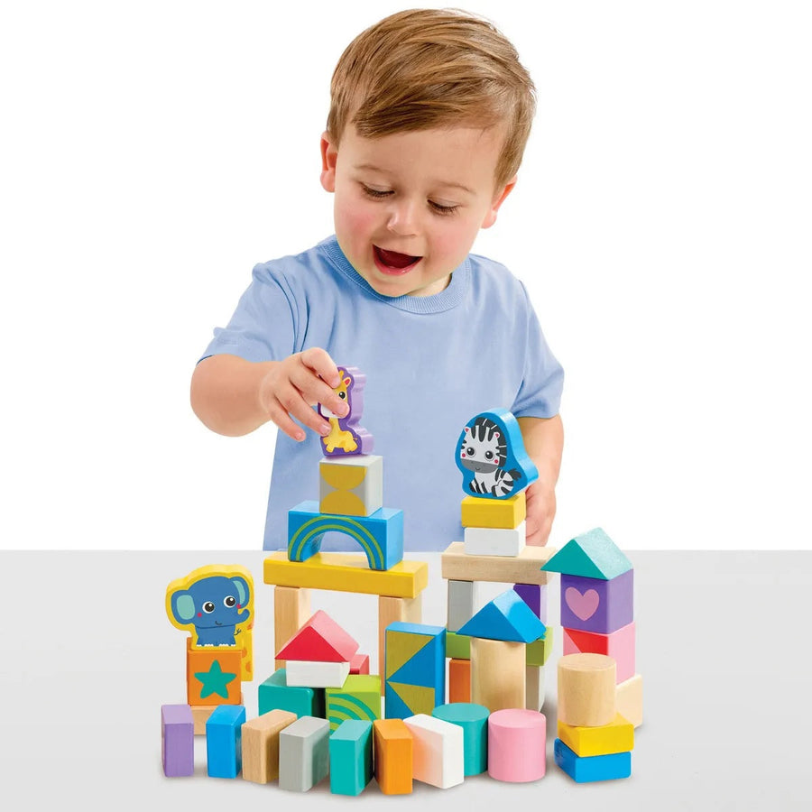 Early Learning Centre Wooden Tub Of Blocks