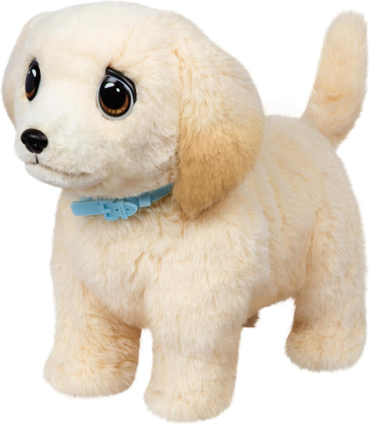 Little Live Pets Ouchies 1 Pack Cooper Battery-Operated