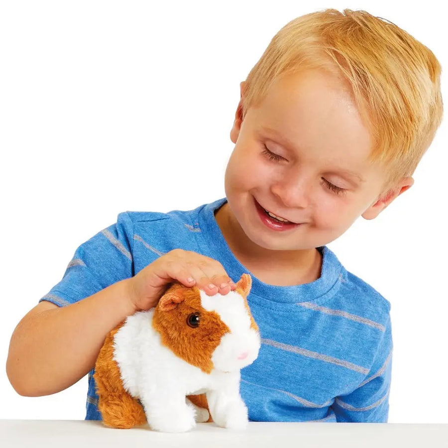 Pitter Patter Lively Little Guinea Pig