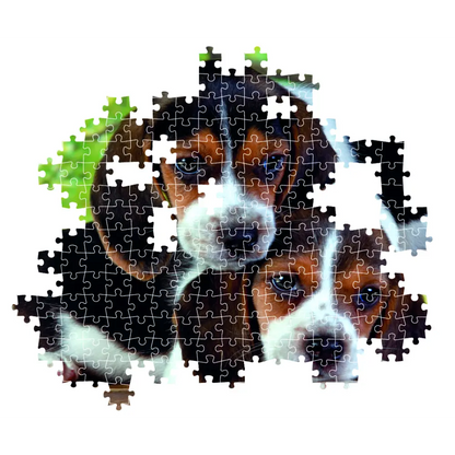 Clementoni Puzzle High Quality Collection Close Together with Poster 500-Piece