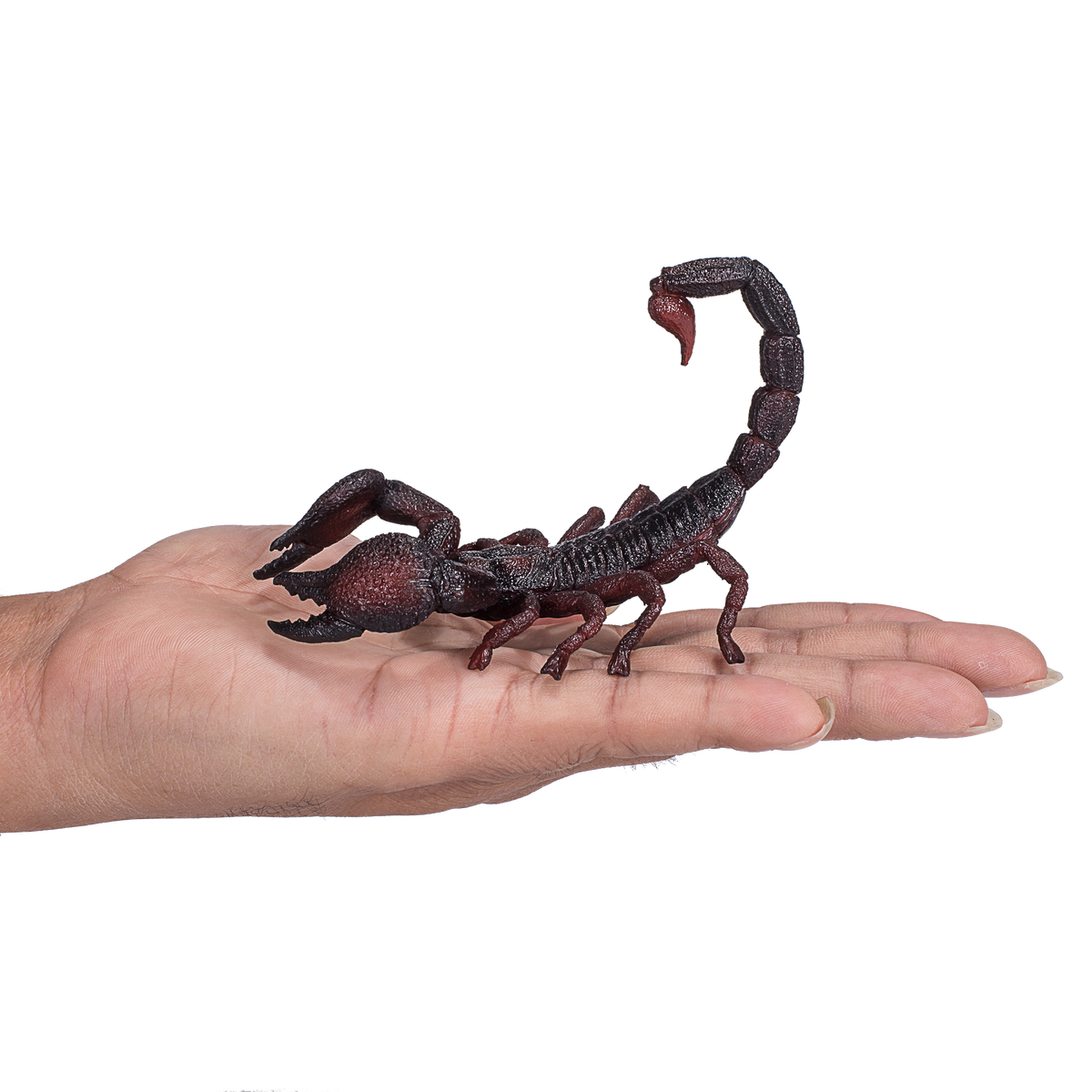 Mojo Animal Emperor Scorpion