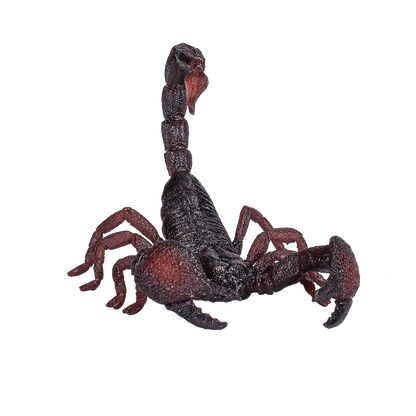 Mojo Animal Emperor Scorpion