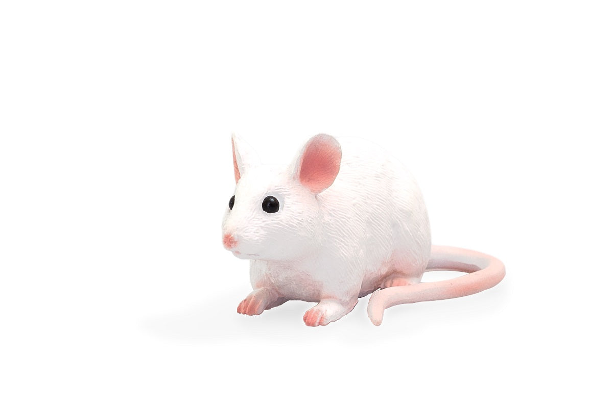 Mojo Animal Mouse