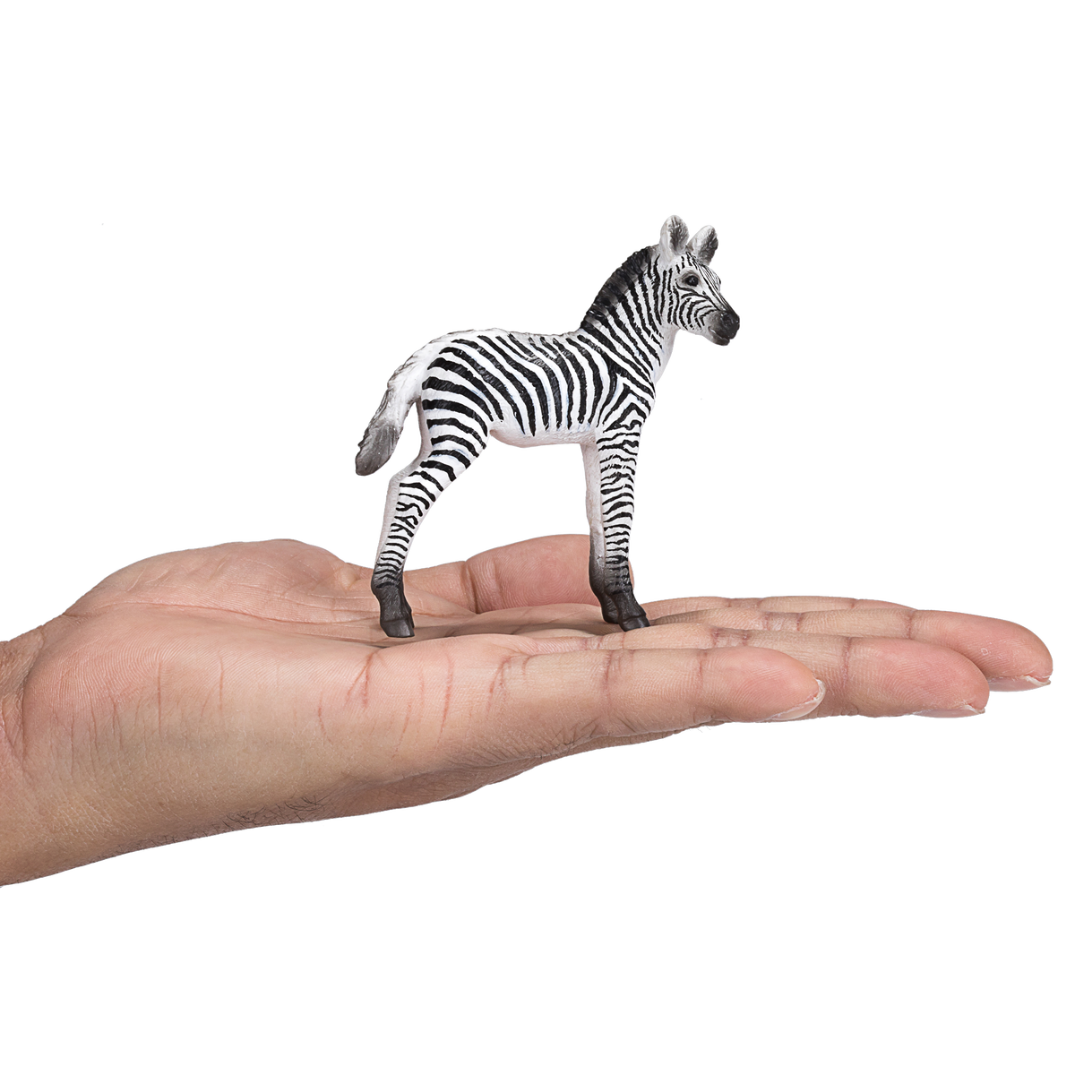 Mojo Animal Zebra Foal V2