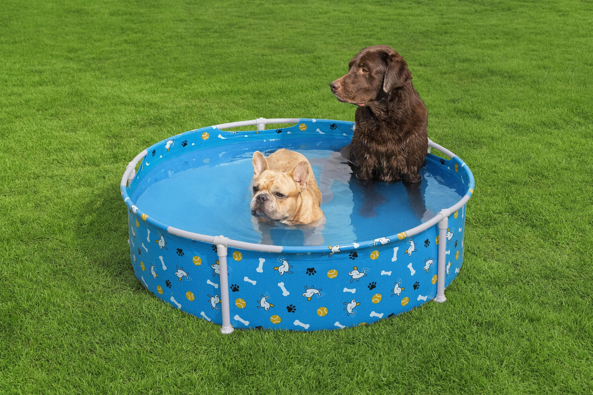 Bestway Pool Fetchin Pet Play 122x30.5cm