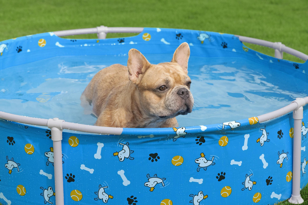 Bestway Pool Fetchin Pet Play 122x30.5cm