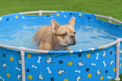 Bestway Pool Fetchin Pet Play 122x30.5cm