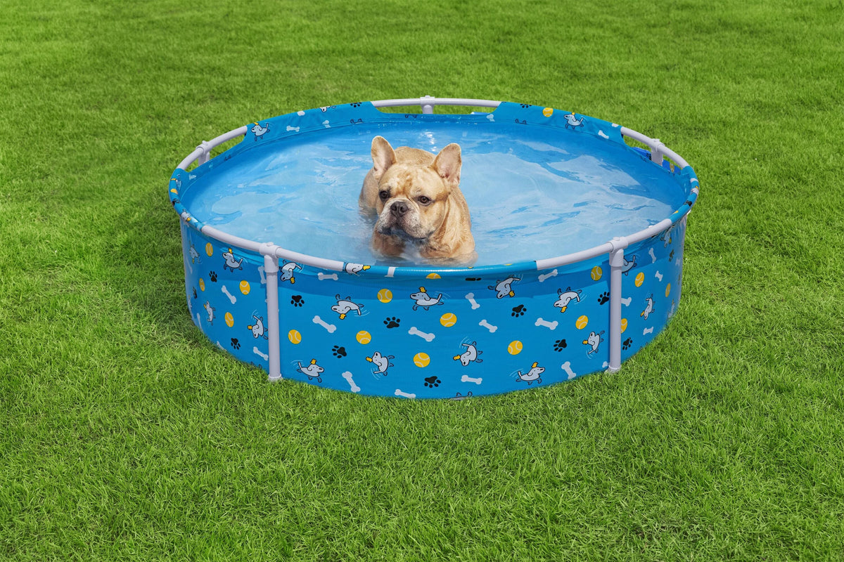 Bestway Pool Fetchin Pet Play 122x30.5cm
