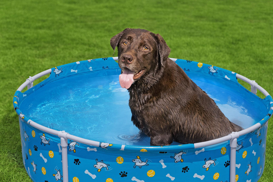 Bestway Pool Fetchin Pet Play 122x30.5cm