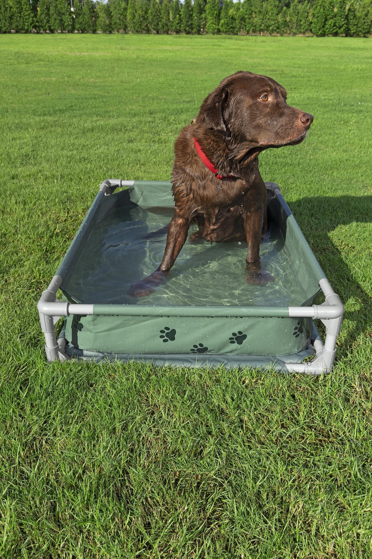 Bestway Pool Fetchin Pet Play & Bed 102x74x20cm