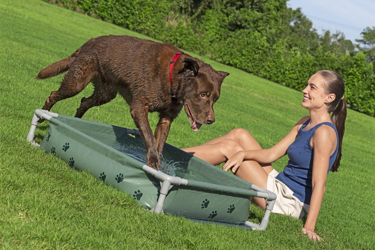Bestway Pool Fetchin Pet Play & Bed 102x74x20cm