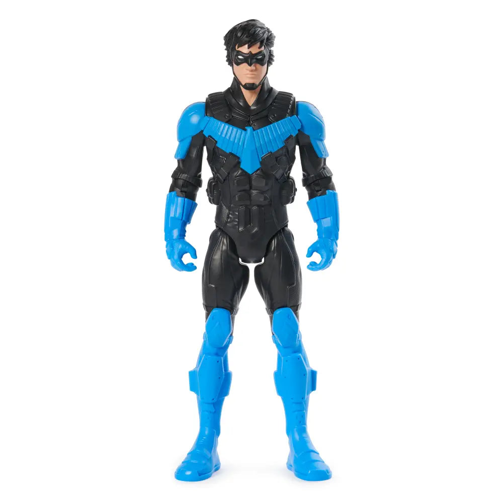 DC Comics Hero & Villain 12 Inch Assortment