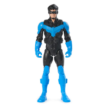 DC Comics Hero & Villain 12 Inch Assortment