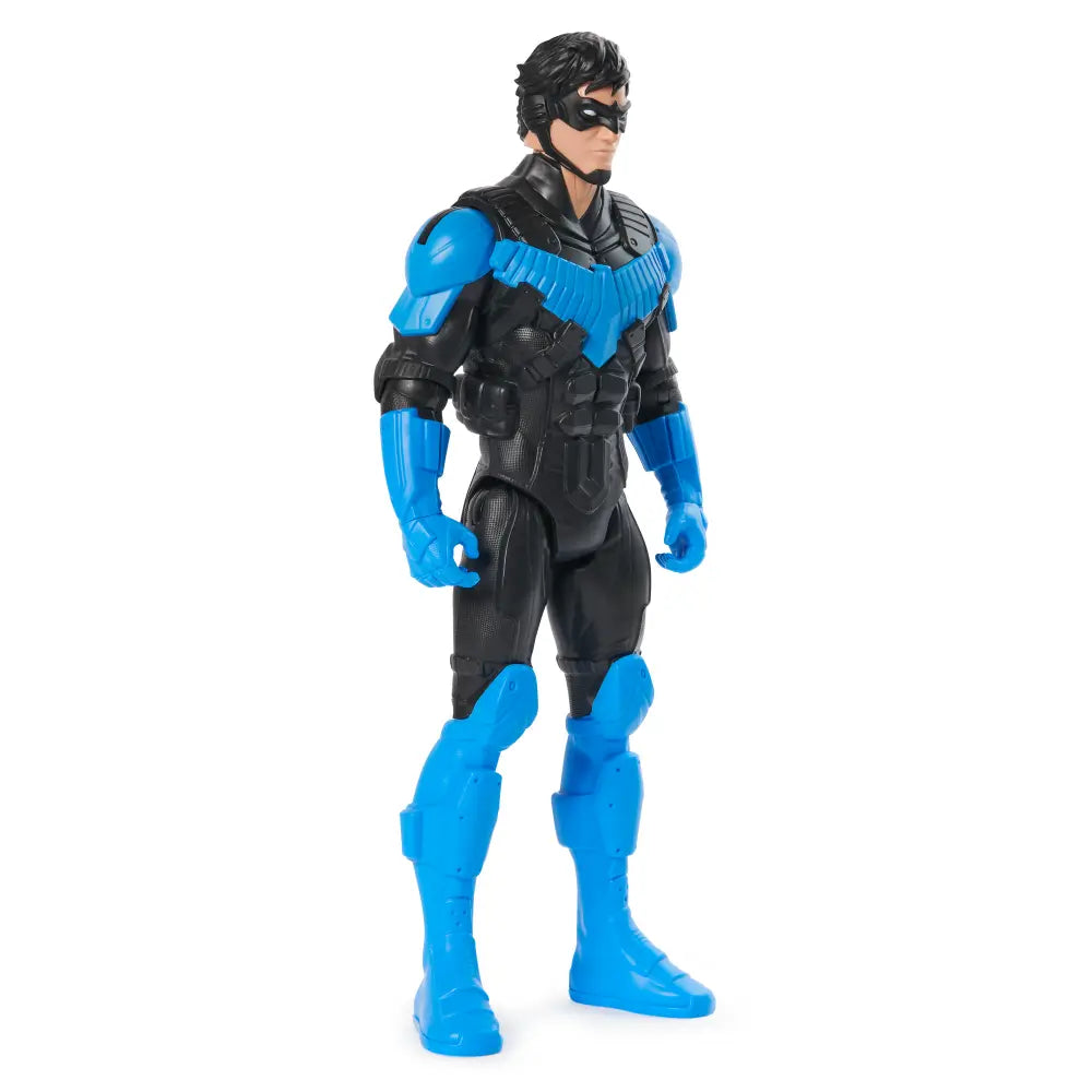 DC Comics Hero & Villain 12 Inch Assortment