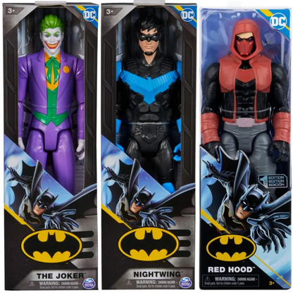 DC Comics Hero & Villain 12 Inch Assortment