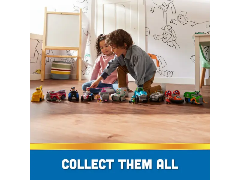 Pawpatrol Basic Vehicle Assortment - Sold per piece
