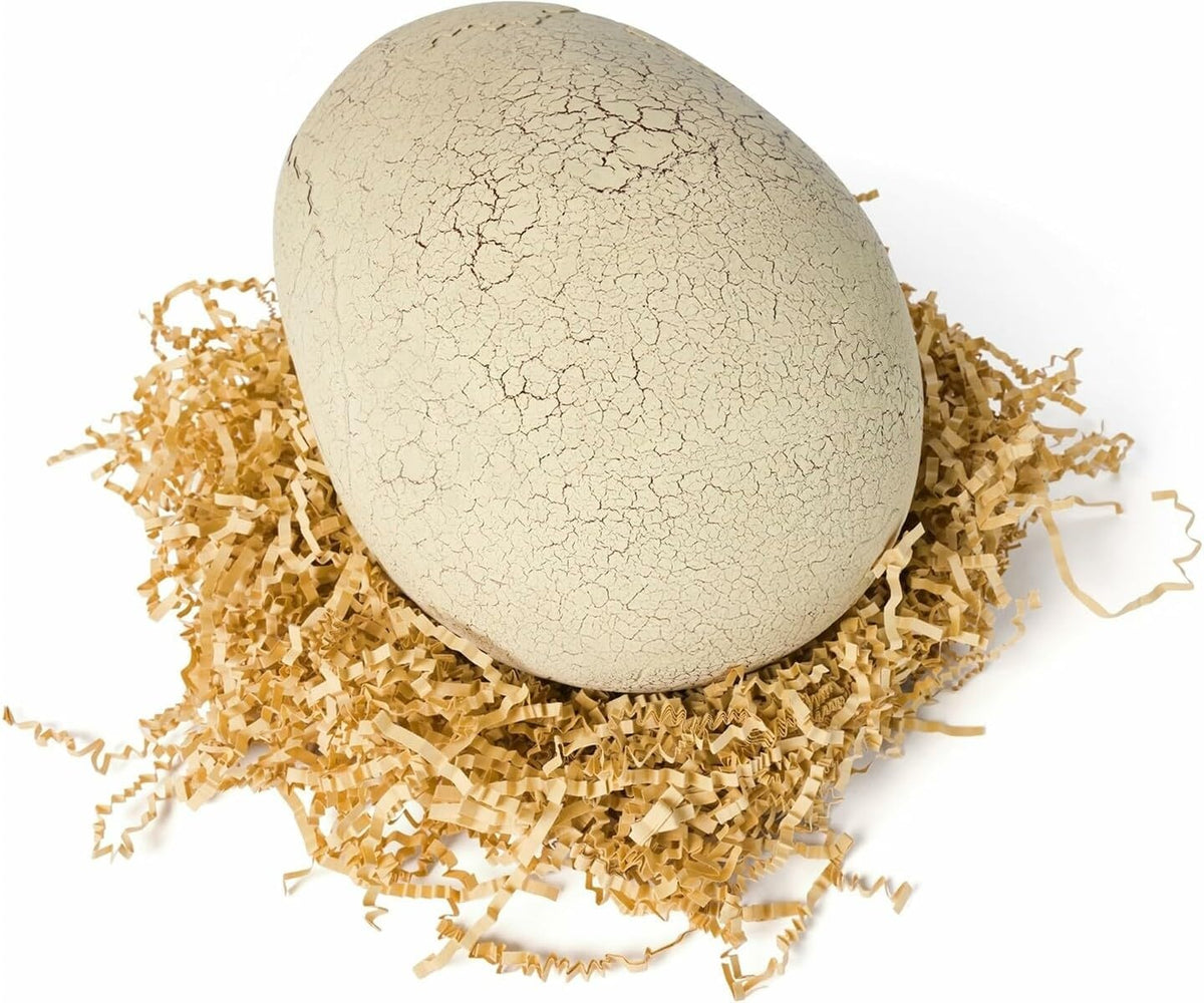 Primal Hatch Interactive Hatching Dino Battery-Operated