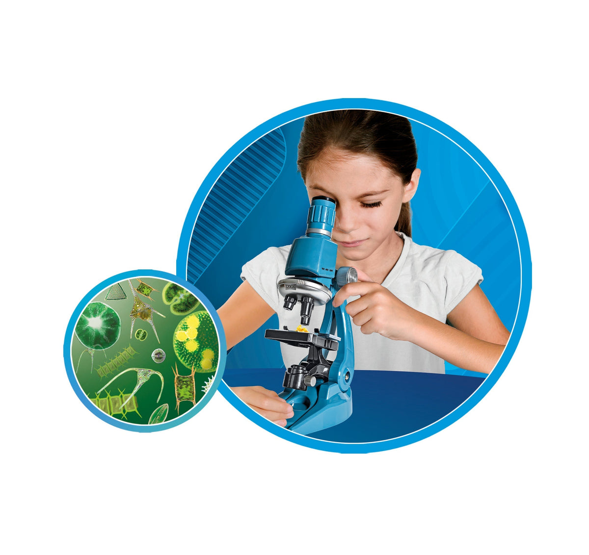 Clementoni Super Microscope