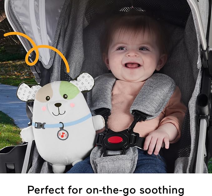 Fisher-Price Calming Vibes Puppy Baby Soother Toy