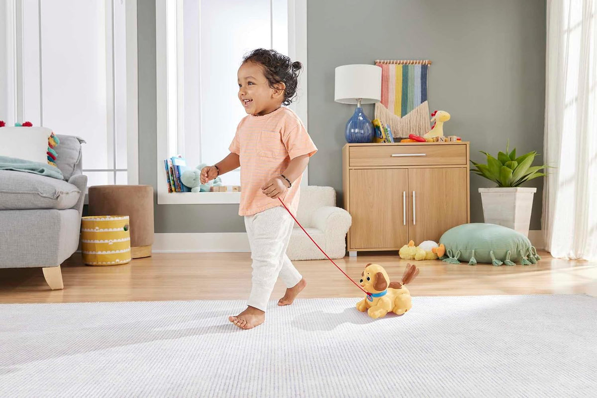 Fisher-Price Lil' Snoopy Baby Activity Toy