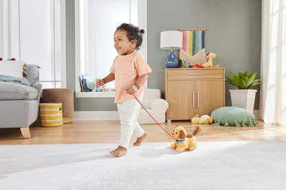 Fisher-Price Lil' Snoopy Baby Activity Toy