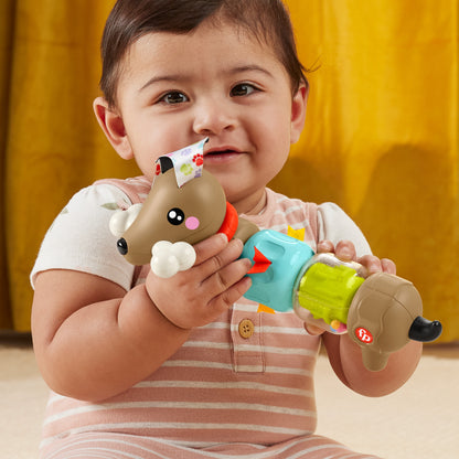 Fisher-Price Pets Click & Spin Activity Pup Sensory Toy 6M+