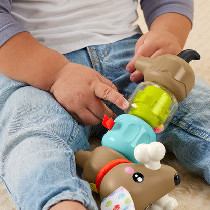 Fisher-Price Pets Click & Spin Activity Pup Sensory Toy 6M+