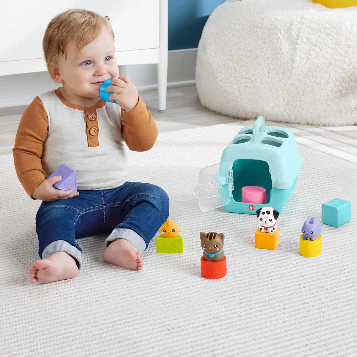 Fisher-Price Pets Sort & Stow Pet Carrier Activity Toy