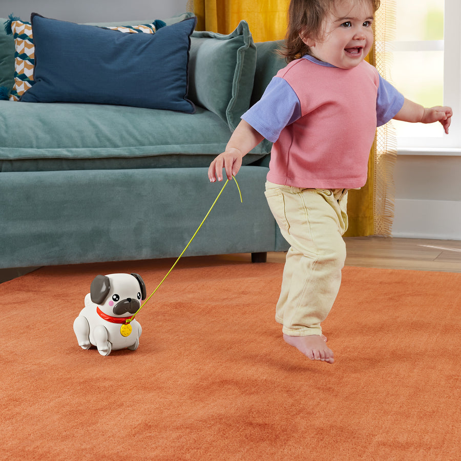 Fisher-Price Pets Walk the Pug Baby Activity Toy
