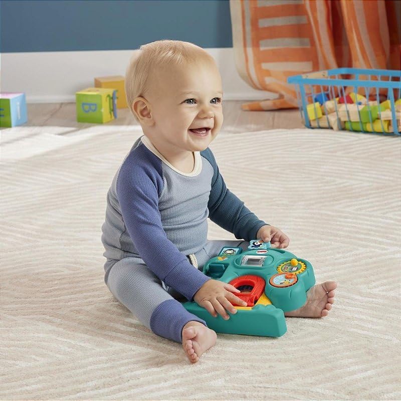 Fisher-Price Animal Friends Discovery Baby Activity Toy Assorted  Design
