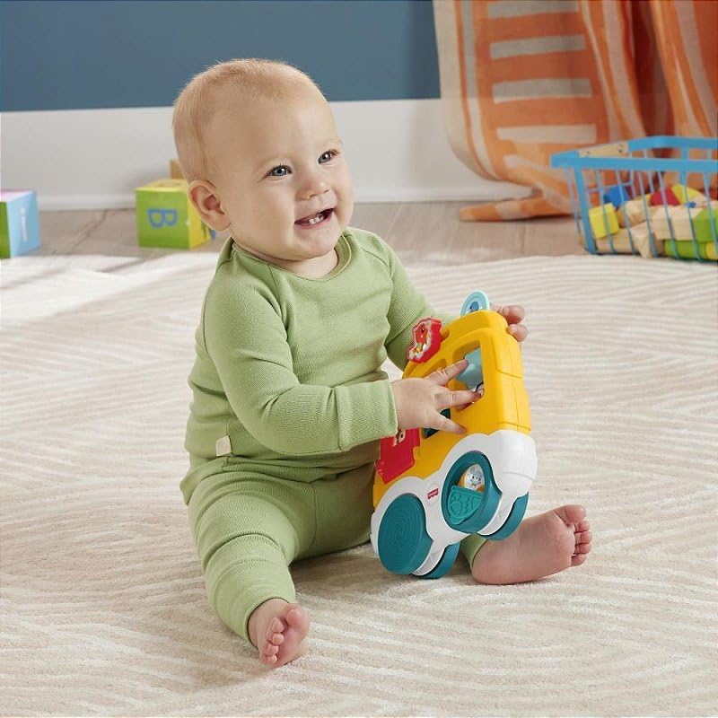 Fisher-Price Animal Friends Discovery Baby Activity Toy Assorted  Design