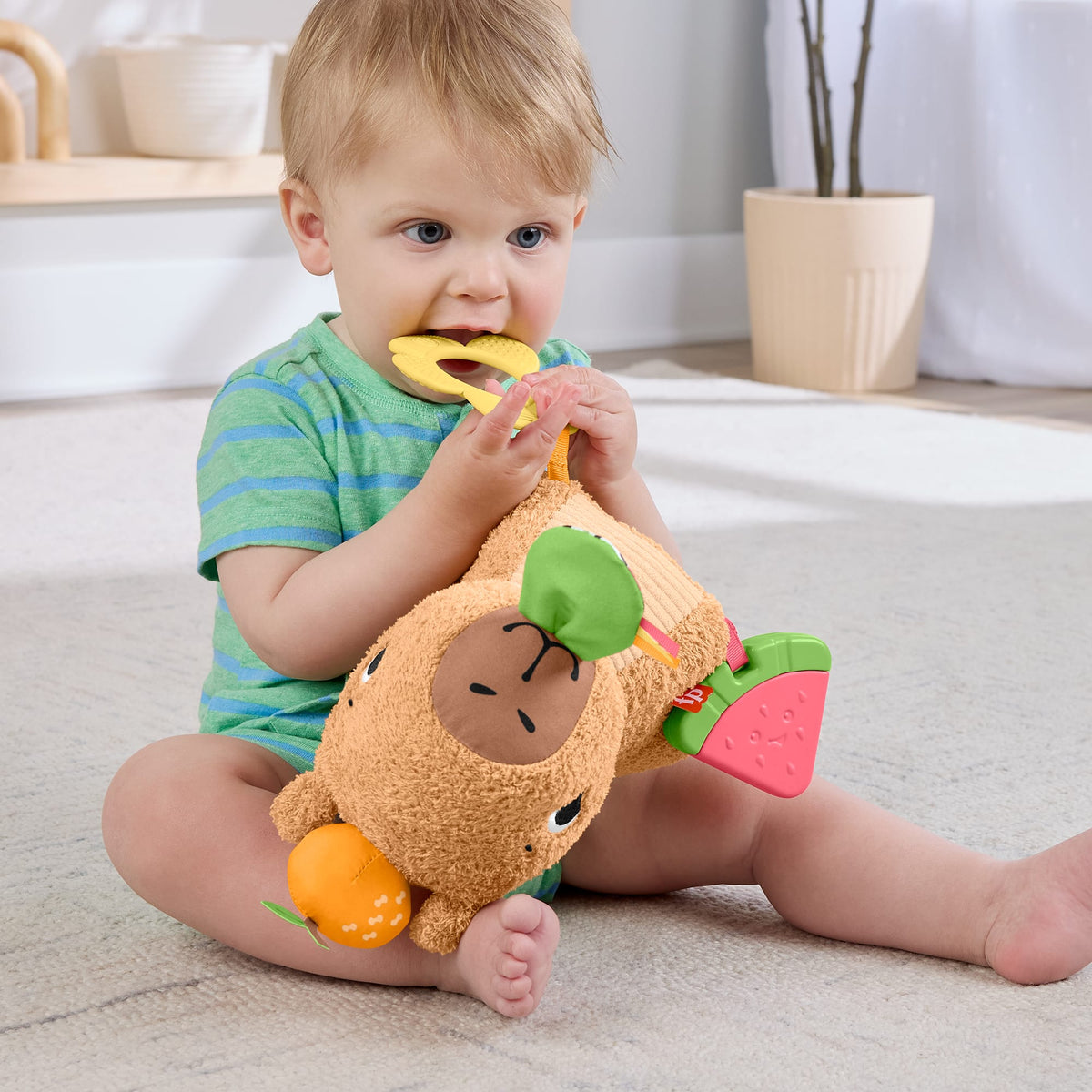 Fisher-Price Sensory Snuggly Snacky Capybara Baby Toy