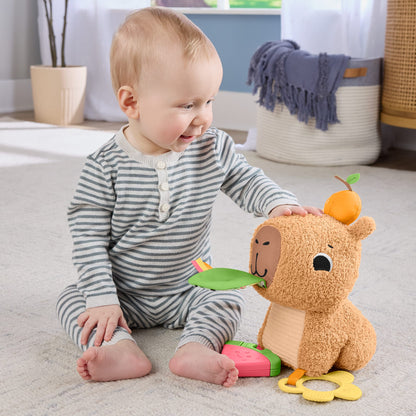 Fisher-Price Sensory Snuggly Snacky Capybara Baby Toy