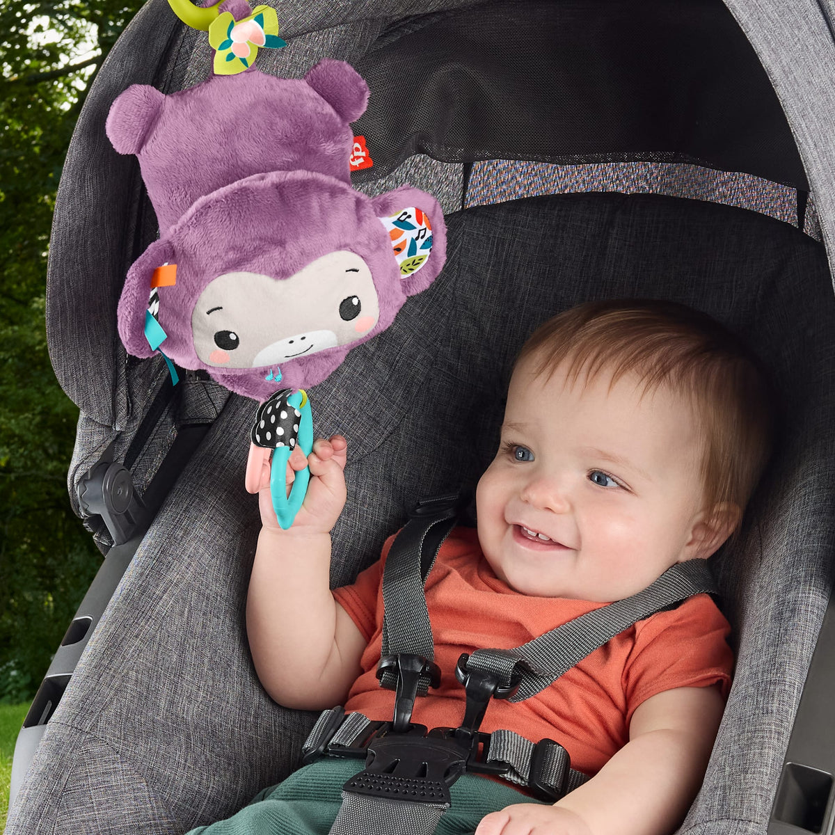 Fisher-Price Sing & Go Purple Monkey Musical Toy