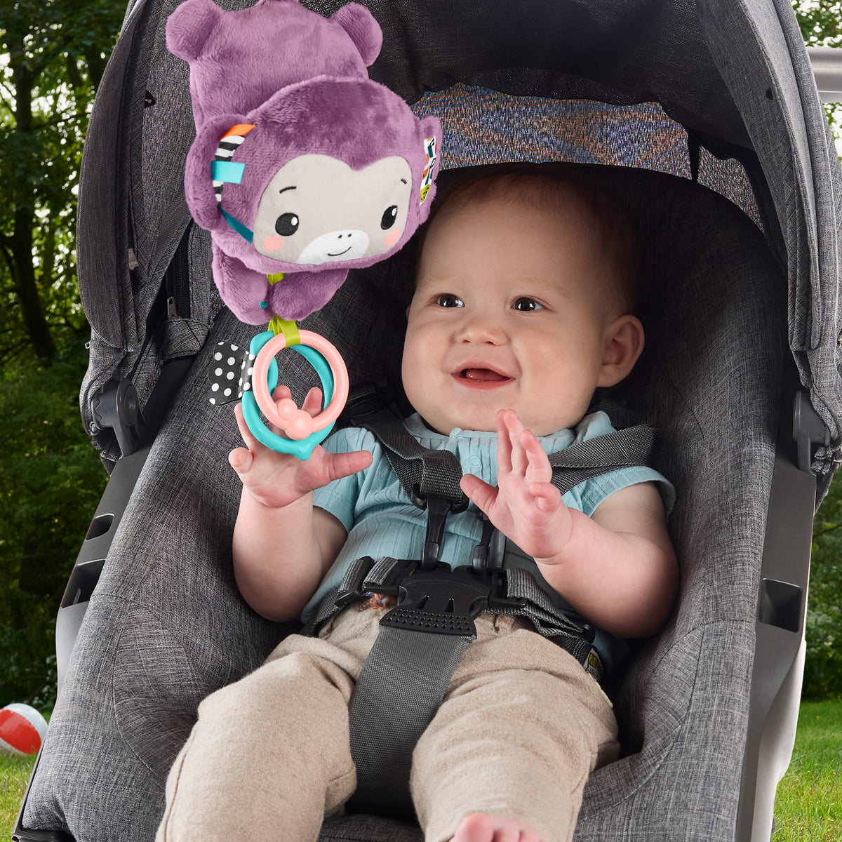 Fisher-Price Sing & Go Purple Monkey Musical Toy