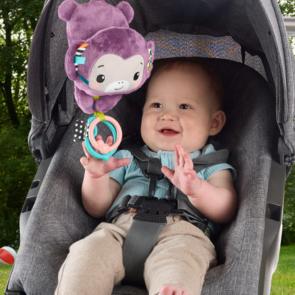 Fisher-Price Sing & Go Purple Monkey Musical Toy