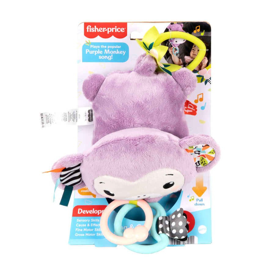 Fisher-Price Sing & Go Purple Monkey Musical Toy