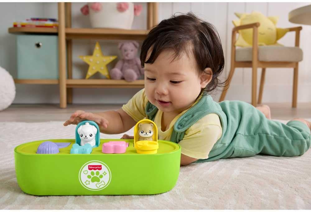 Fisher-Price Pets Fine Motor Pop-Up Activity Toy