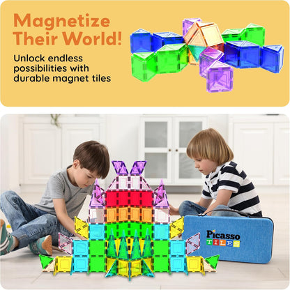 Picasso Magnetic Tiles With Case 101-Piece