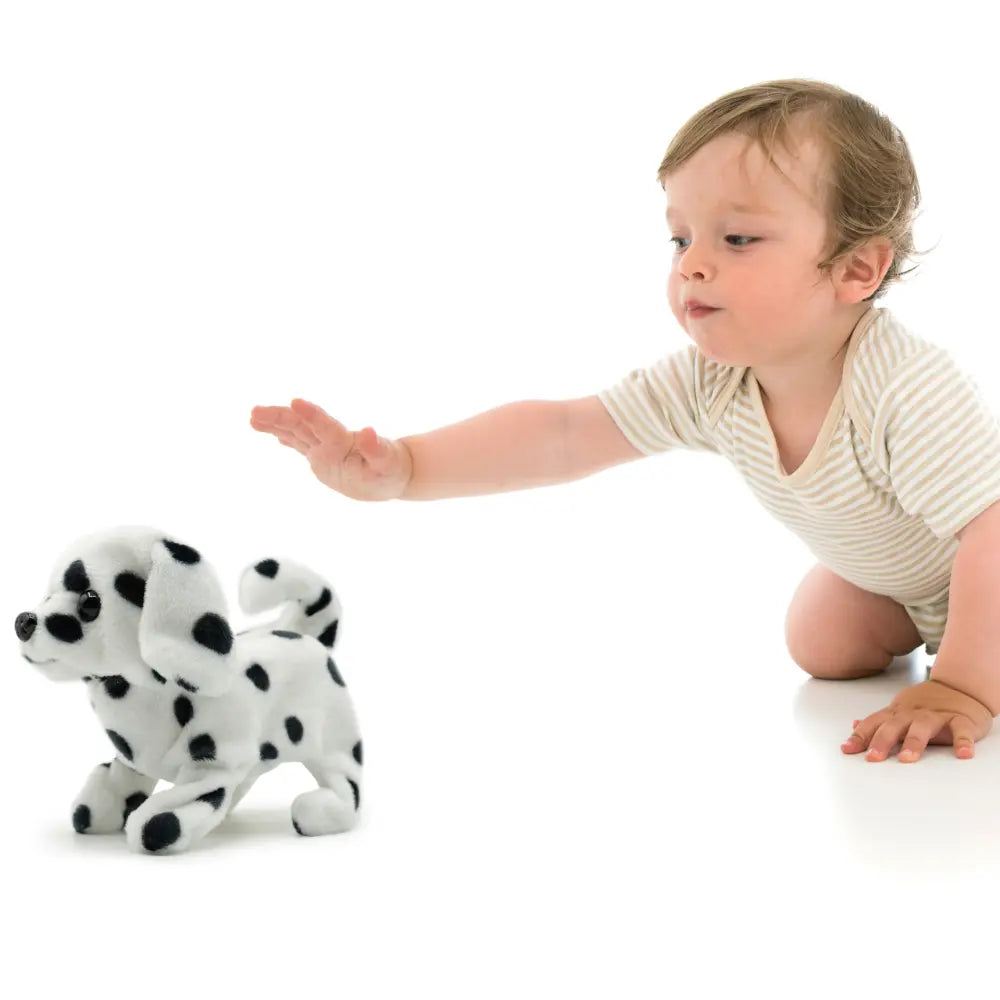 Pugs At Play Walking Spotty 6.5 Inch Battery-Operated
